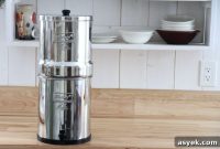 Why I Use a Berkey Water Filter in My Kitchen for Cleaner Water