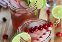 Cranberry Mojito Cocktail with Fresh Lime and Mint