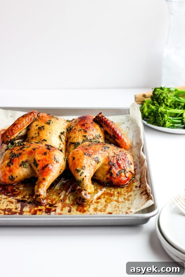 A roasted spatchcock chicken on a parchment-lined baking sheet with a small plate of broccoli in the background.