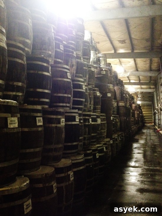 tabasco-barrels