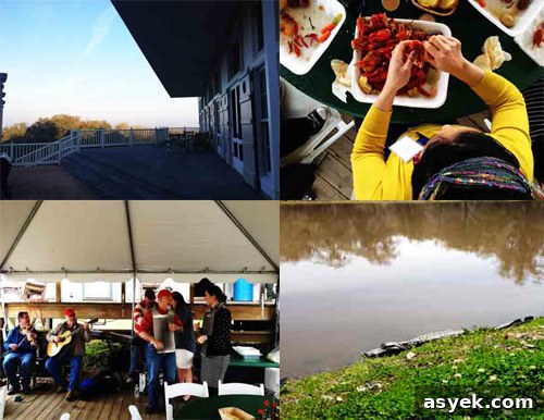 cajun-country