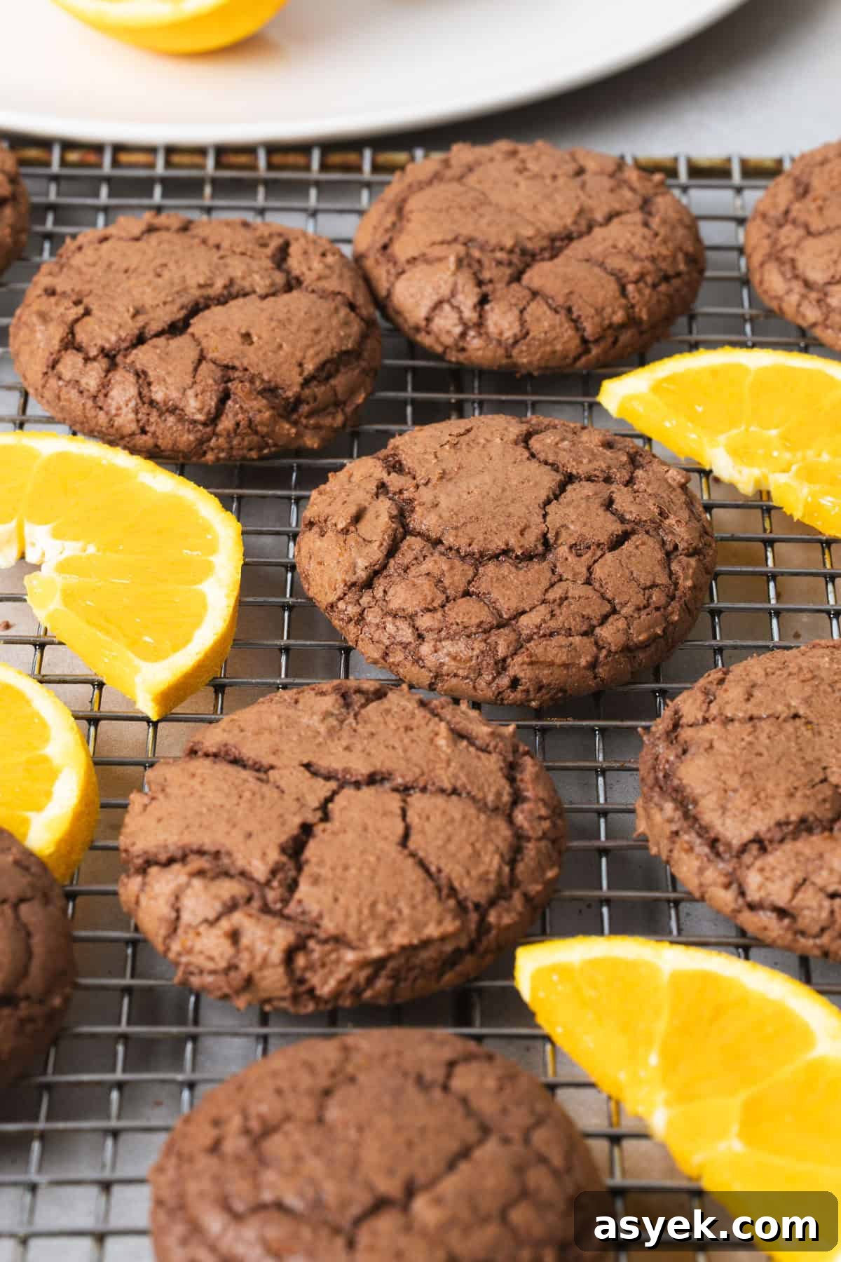Chocolate and orange cookies cooling on a wire rack with slices of oranges as a garnish.
