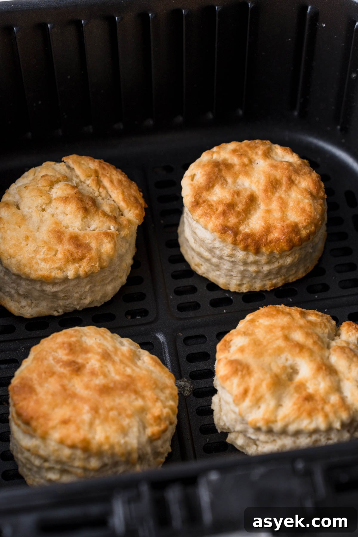 Buttery Air Fryer Biscuits in 15 Minutes 12 air fryer biscuits in the air fryer basket.