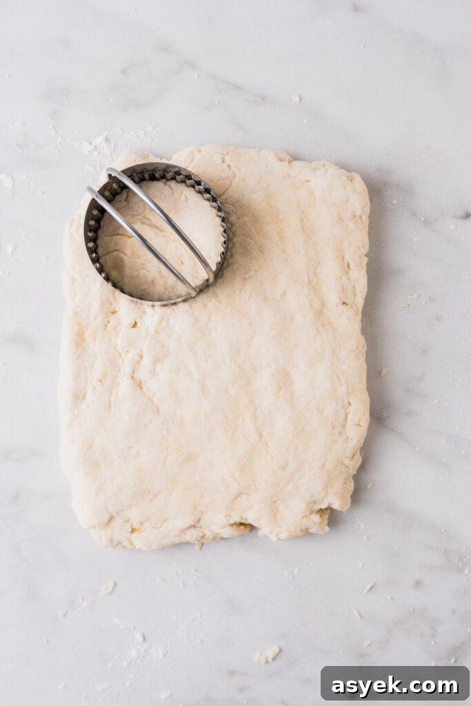 Buttery Air Fryer Biscuits in 15 Minutes 9 cutting the biscuits with a biscuit cutter.