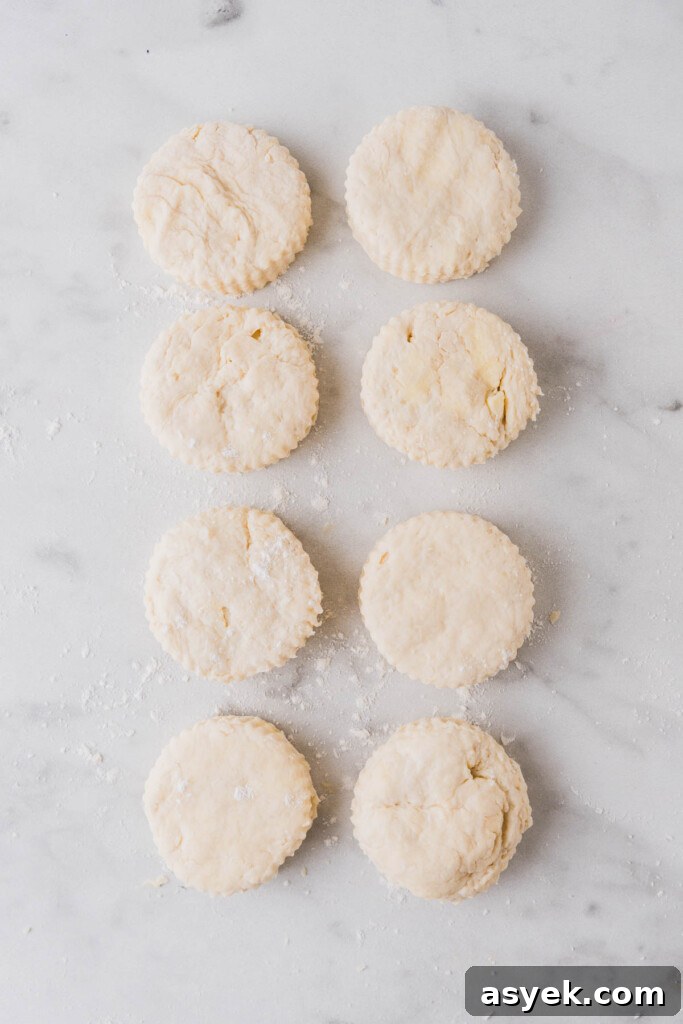 Buttery Air Fryer Biscuits in 15 Minutes 10 cut biscuits on a white floured surface.