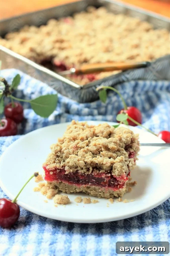 Evans Cherry Ginger Oat Bars