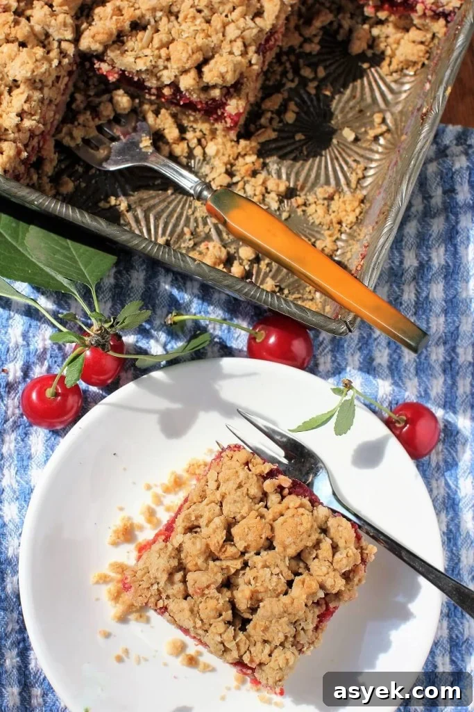 Evans Cherry Ginger Oat Squares