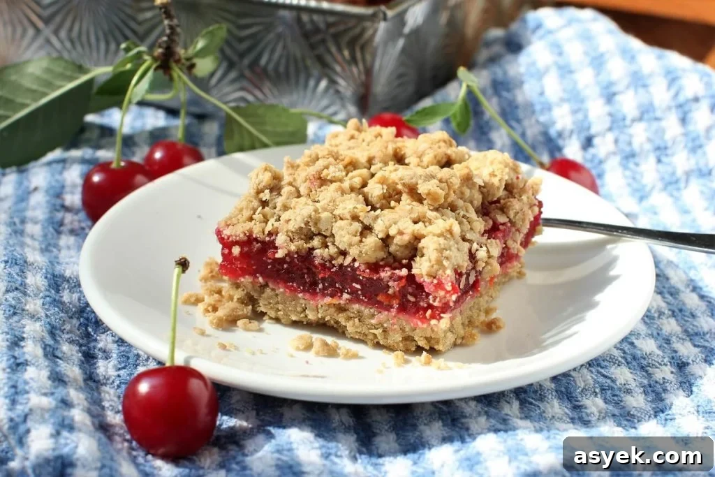 Evans cherry ginger oat crumble bars