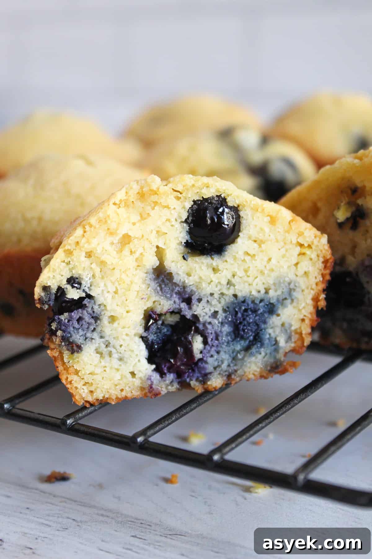 Almond Flour Substitutes: 10 Alternatives and How to Use Them 14 inside of an almond flour blueberry muffin.
