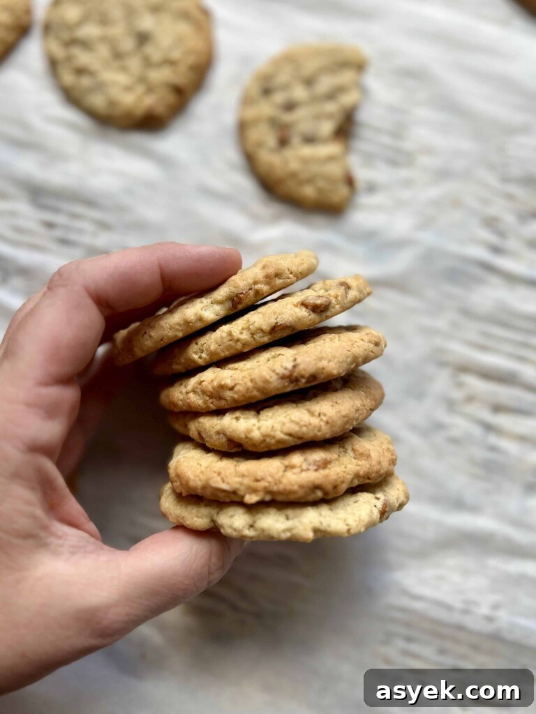 Oatmeal Sourdough Cinnamon Chip Cookies