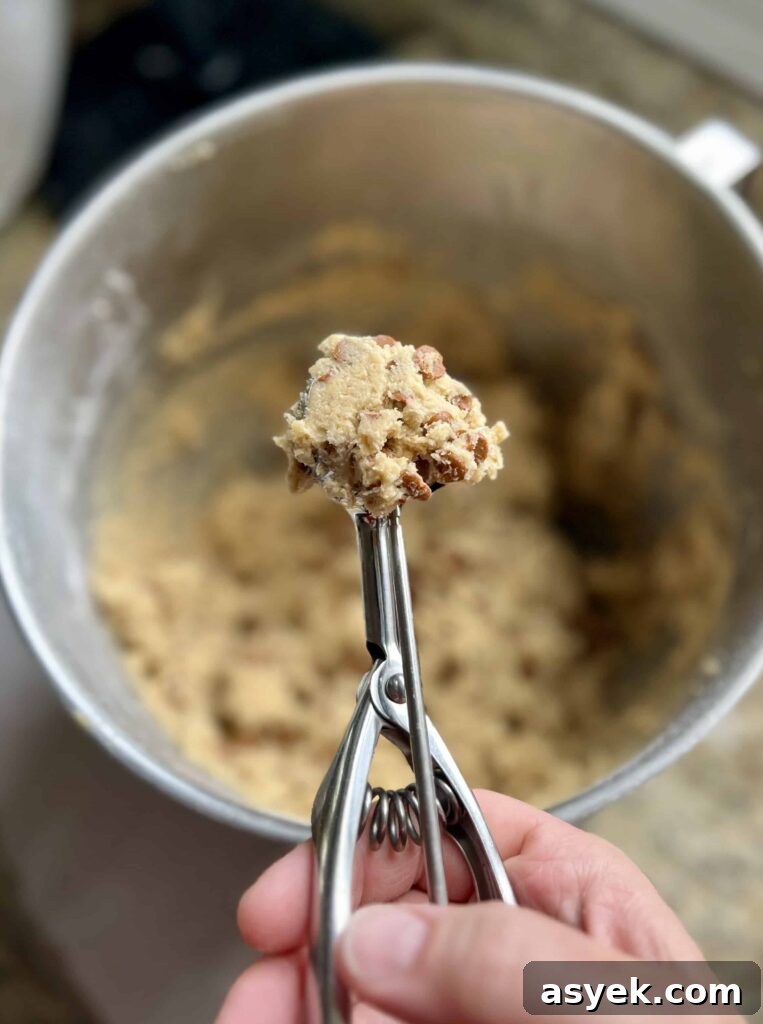 Oatmeal Sourdough Cinnamon Chip Cookies