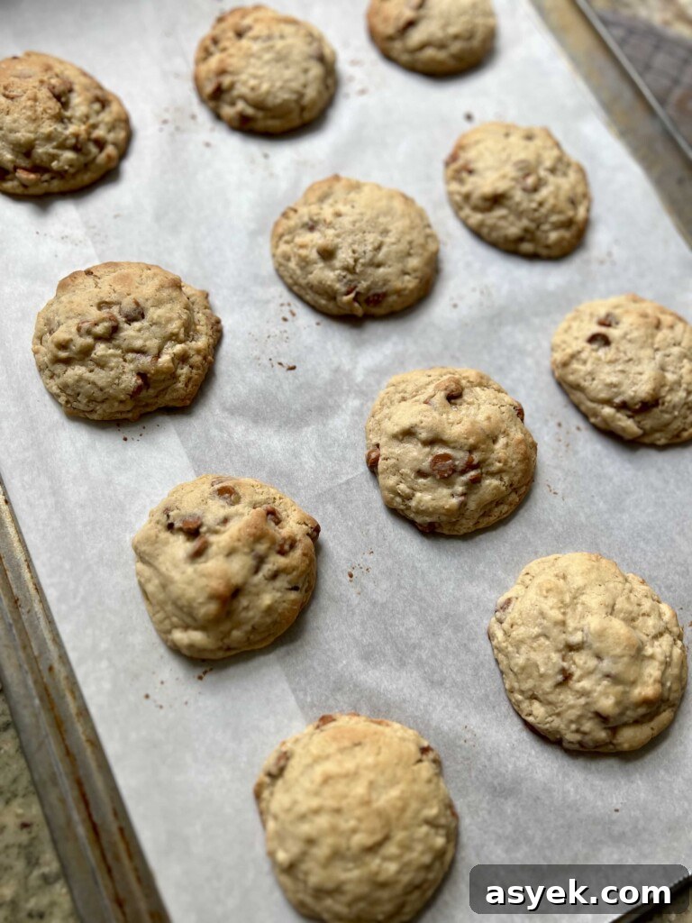 Baked cookies close-up