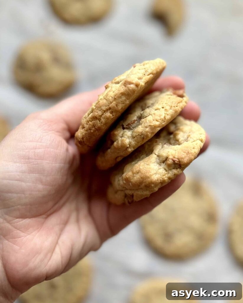 Oatmeal Sourdough Cinnamon Chip Cookies