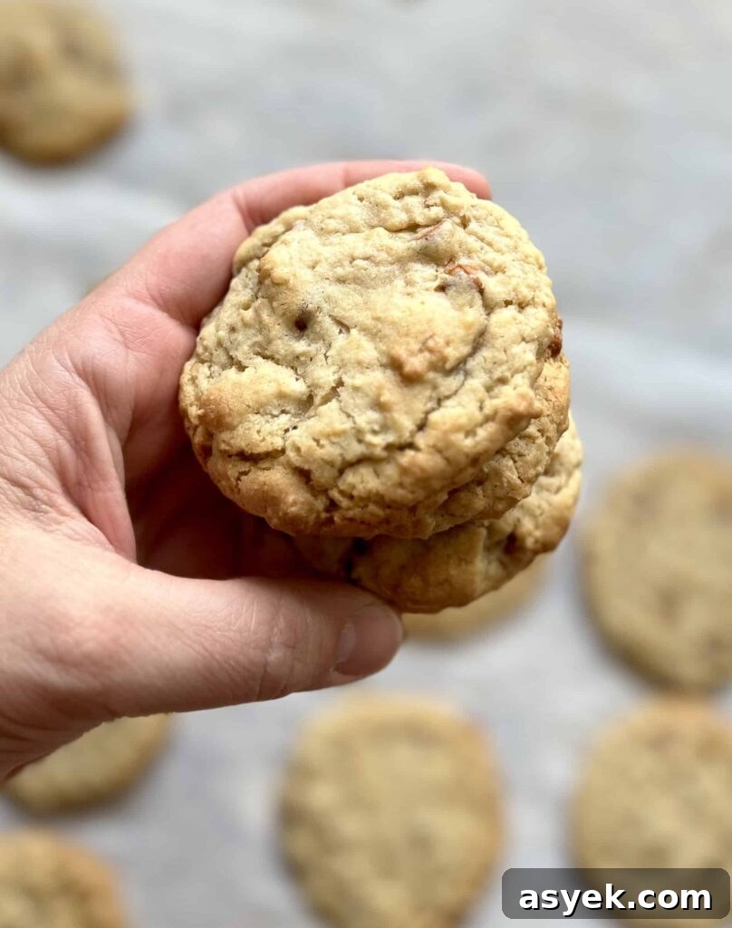 Oatmeal Sourdough Cinnamon Chip Cookies
