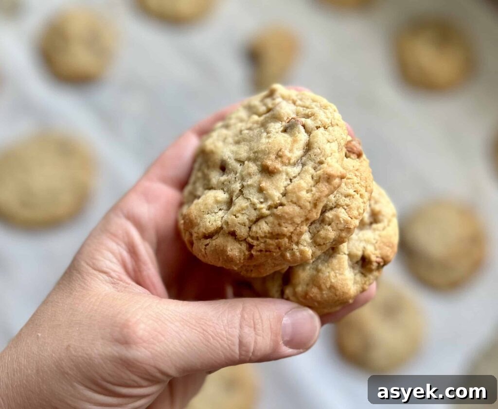 Oatmeal Sourdough Cinnamon Chip Cookies