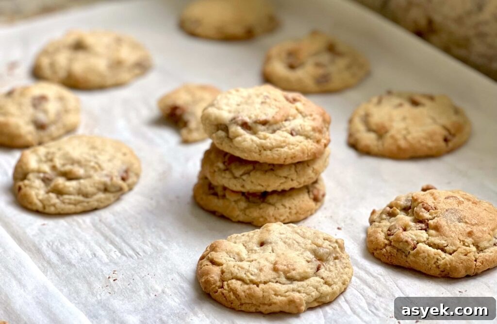 Oatmeal Sourdough Cinnamon Chip Cookies