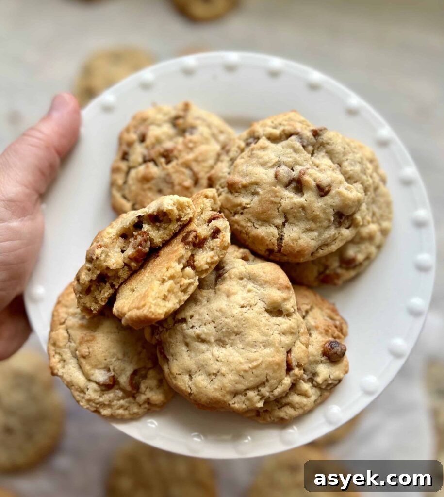 Oatmeal Sourdough Cinnamon Chip Cookies