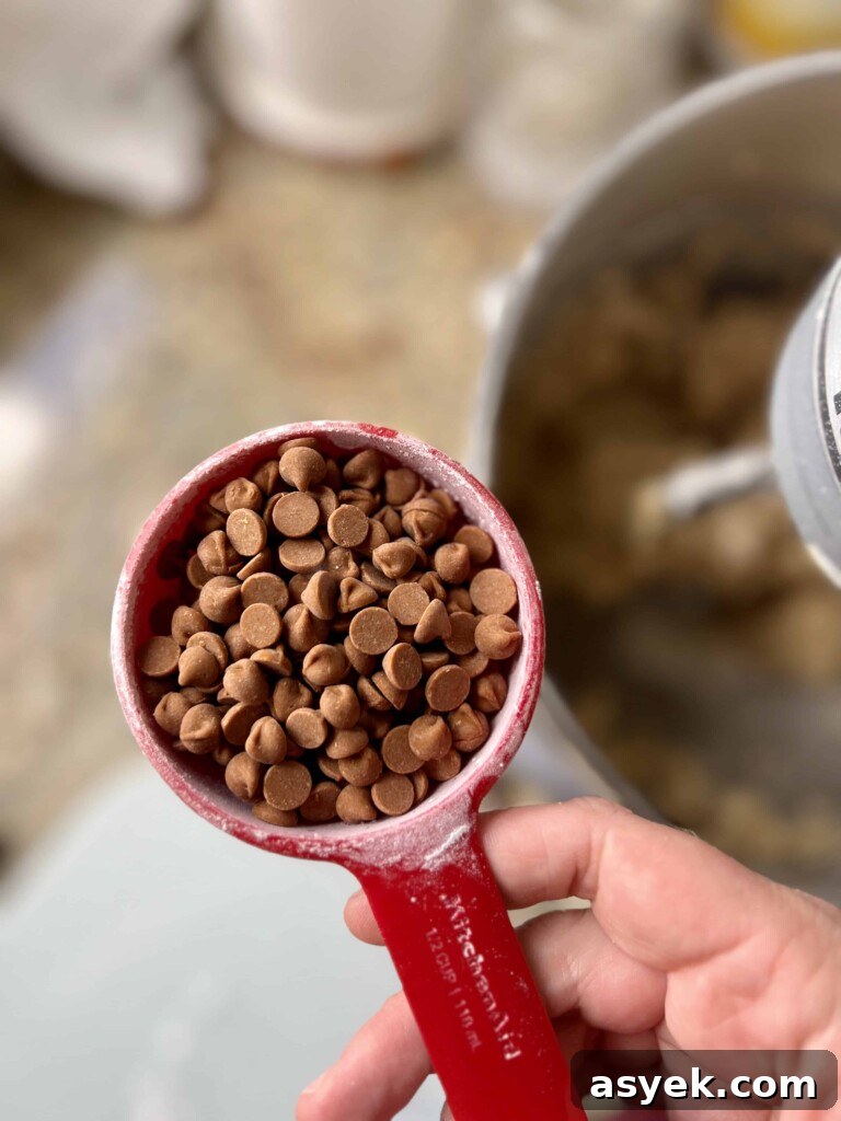 Hershey's Cinnamon Chips