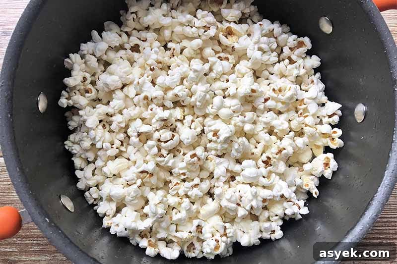 Horizontal image of a pot filled with white puffy kernels.