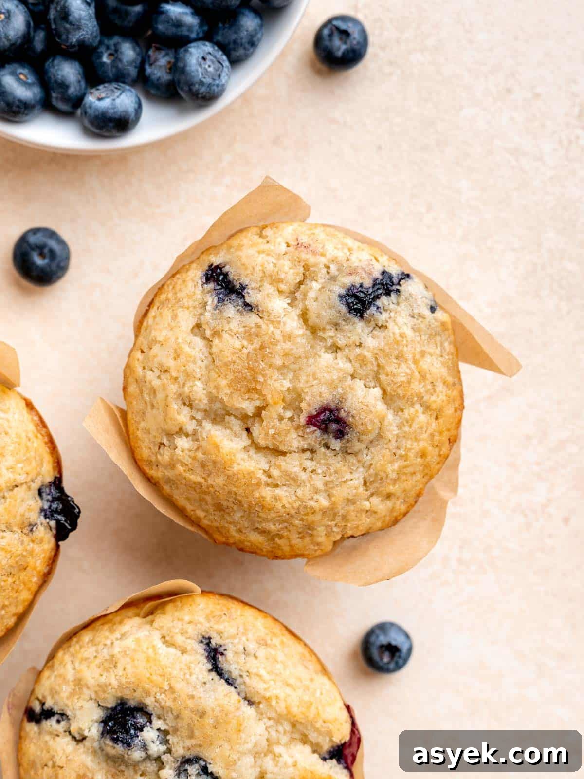 Top view of a blueberry sourdough muffin.