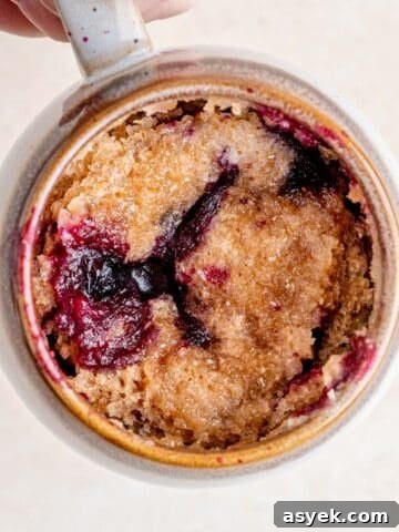 Blueberry Muffin in a Mug thumbnail