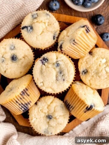 White Chocolate and Blueberry Muffins thumbnail