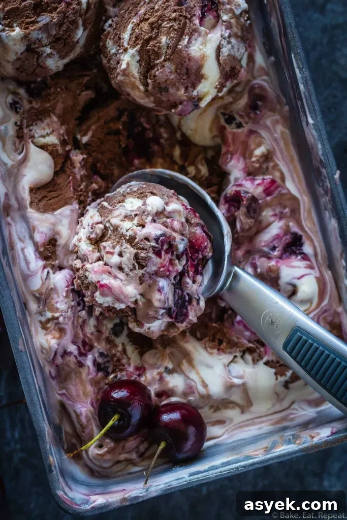chocolate cherry ice cream