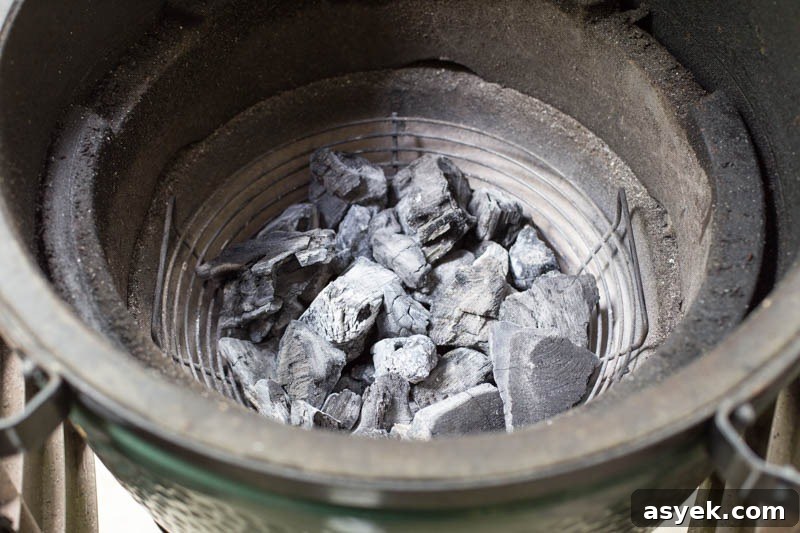 Why the Kick Ash Basket Is Essential for Your Big Green Egg 5 Kick Ash Basket Review