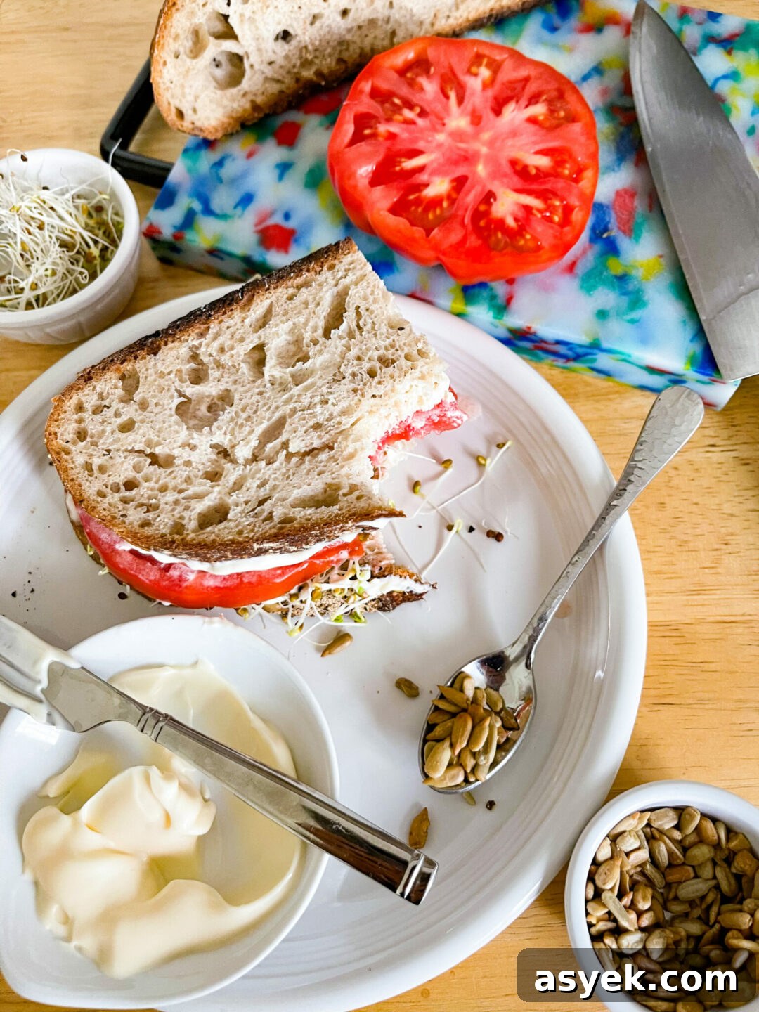 Sunflower seed and tomato sandwich | sarcastic cooking