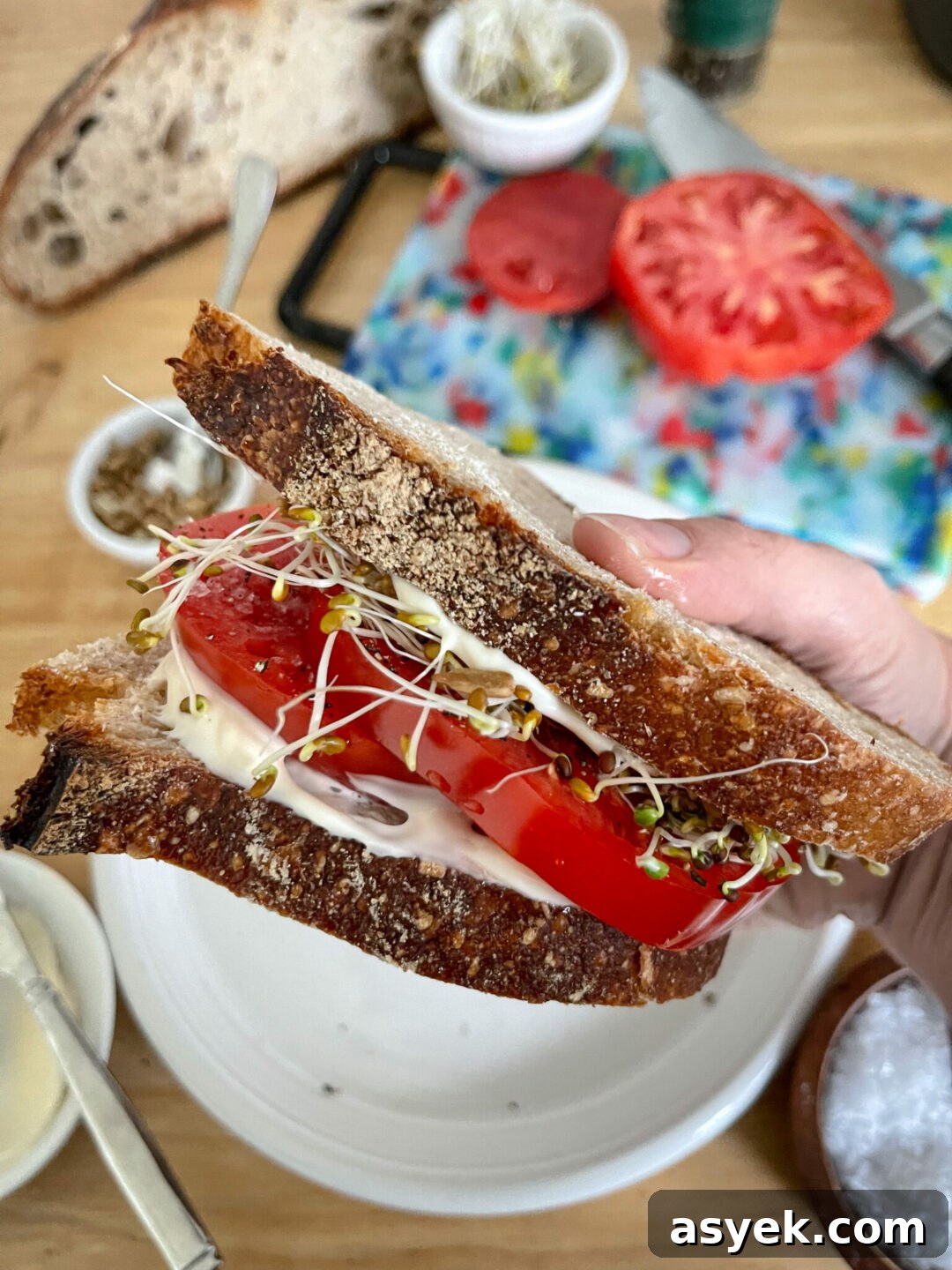 Summer Tomato sandwich | Sarcastic Cooking