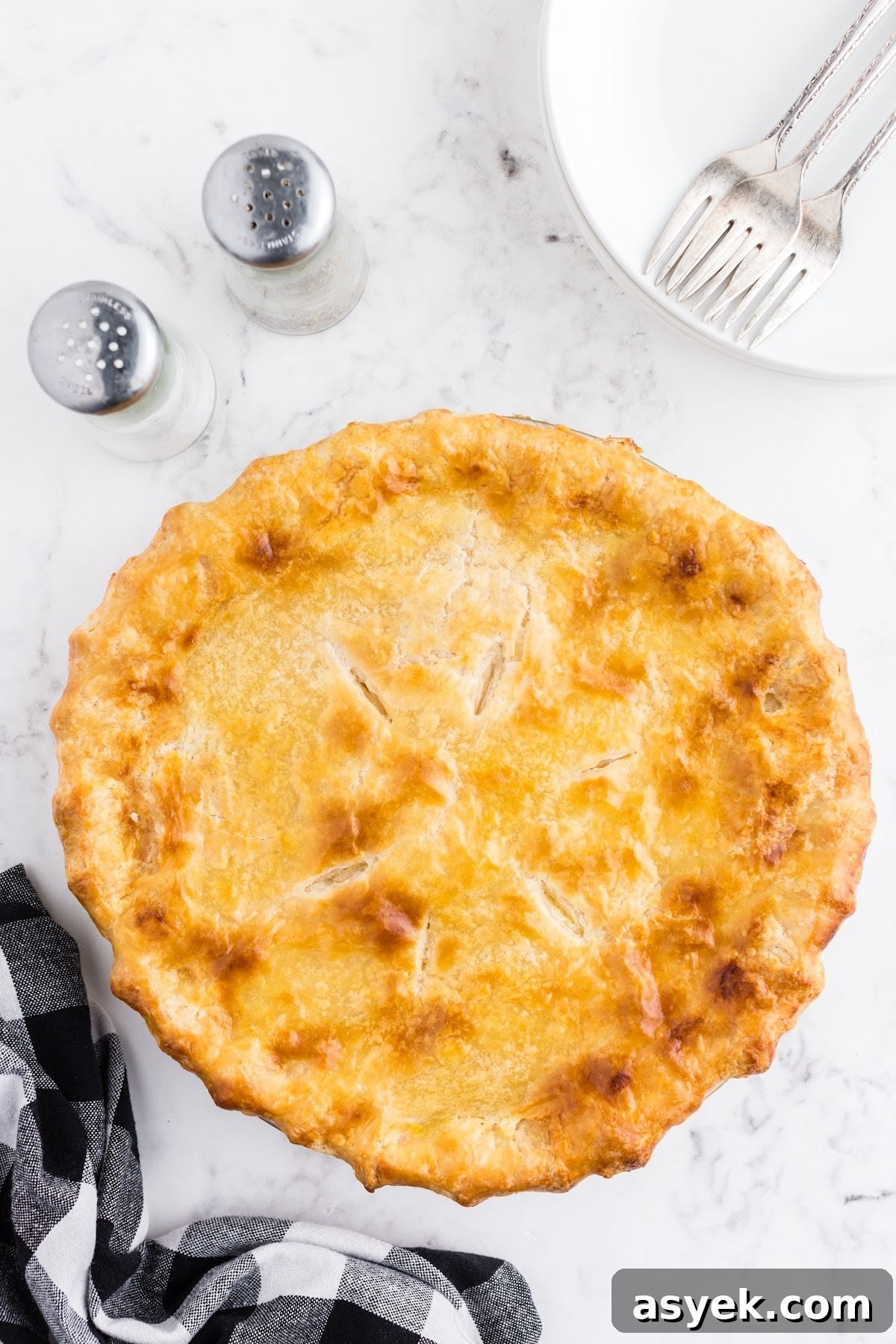 Creamy chicken pot pie baked golden brown.