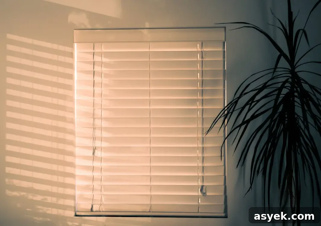 Window Treatments That Define Modern Interiors 4 Sunlight streaming through closed blinds casting shadows on wall with indoor plant nearby