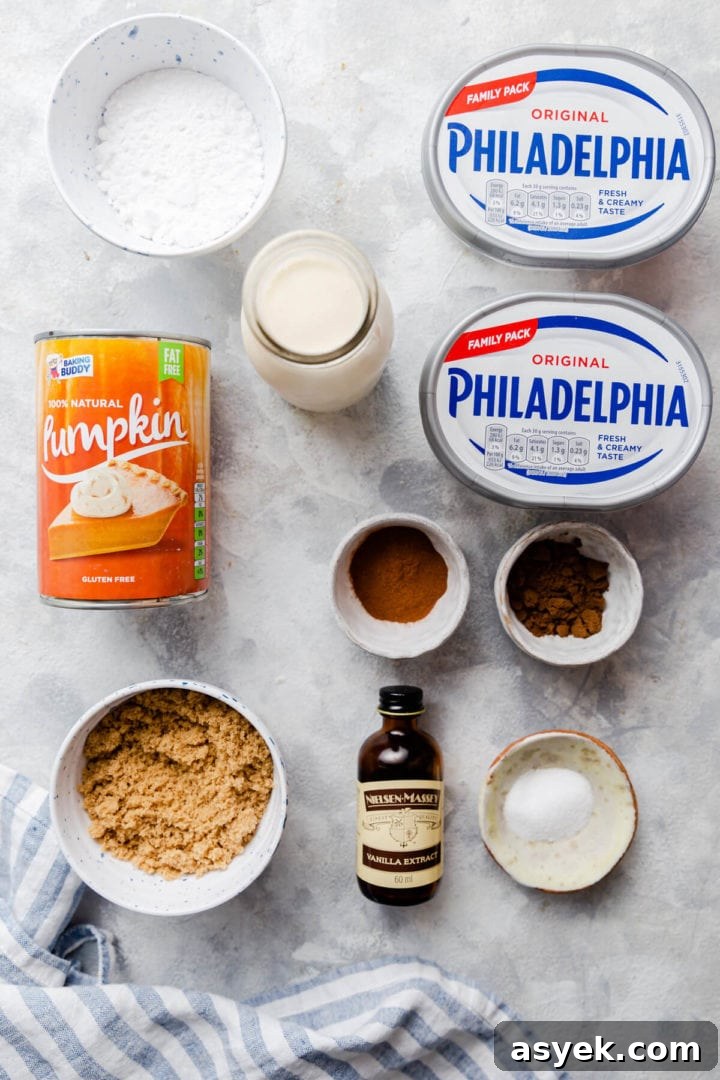 Creamy No-Bake Pumpkin Cheesecake Recipe 4 overhead shot of the ingredients for pumpkin cheesecake