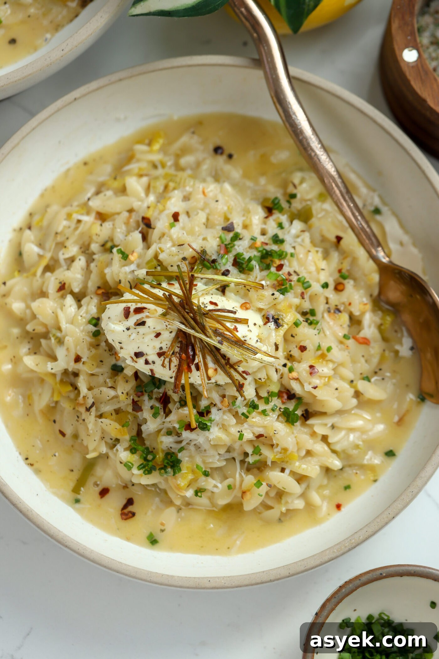 Leek Orzo