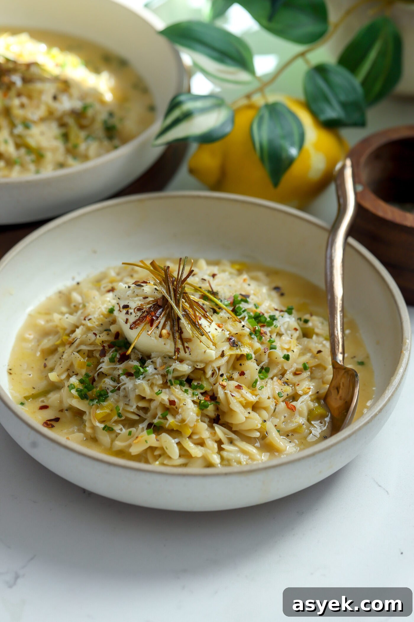 Creamy Leek Orzo