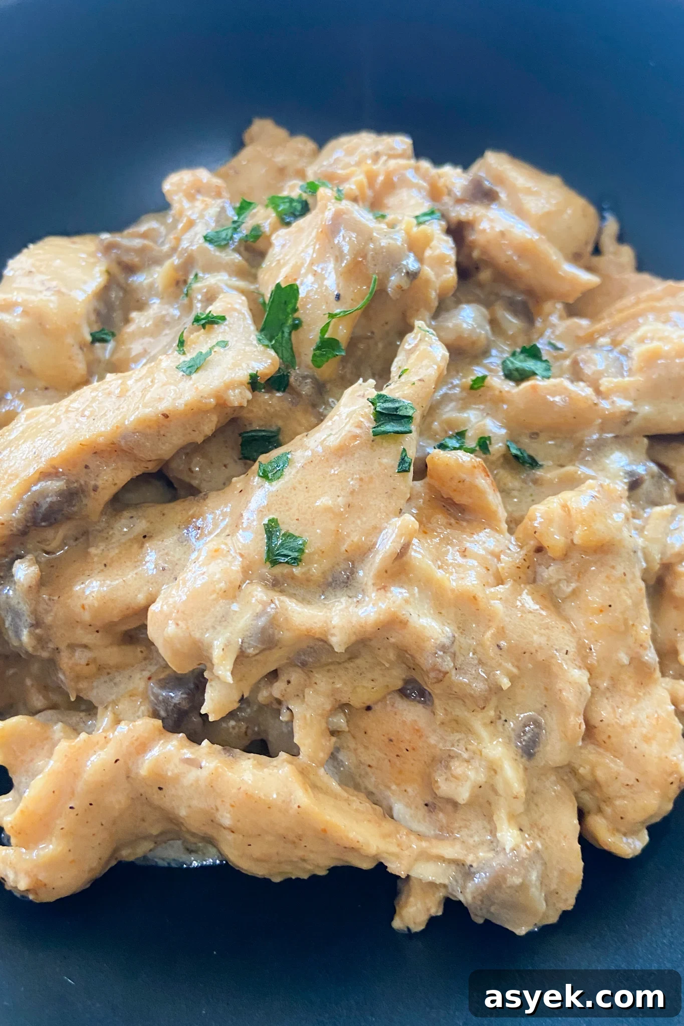 Creamy Garlic Mushroom Chicken Skillet 6 Creamy mushroom chicken garnished with parsley flakes