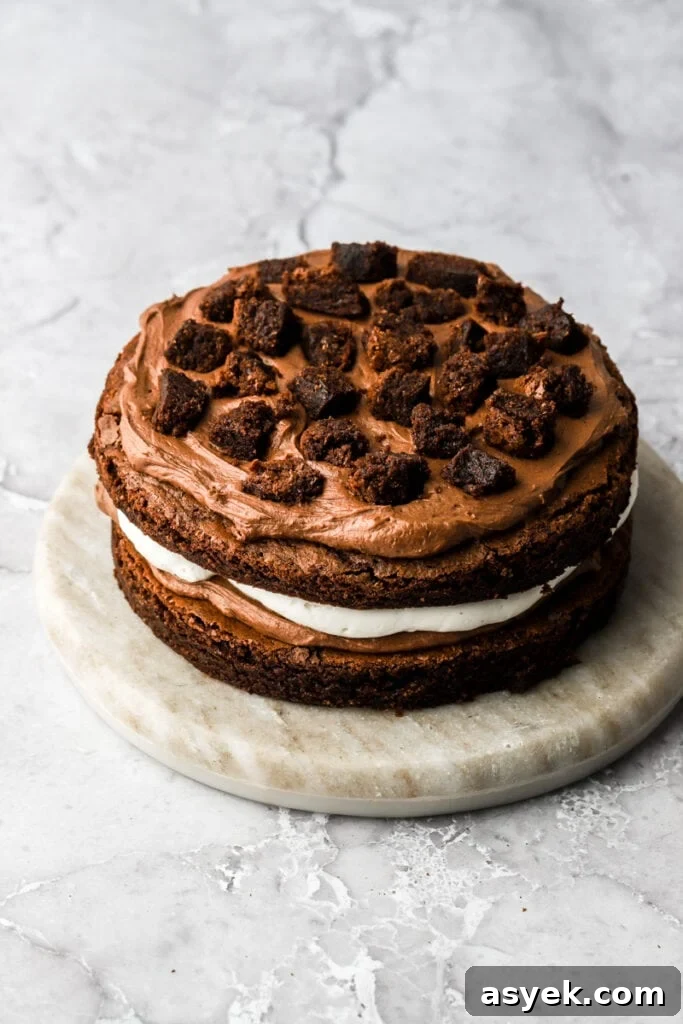 Fudgy Chocolate Brownie Cake Recipe 15 chocolate frosting layer topped with brownie chunks