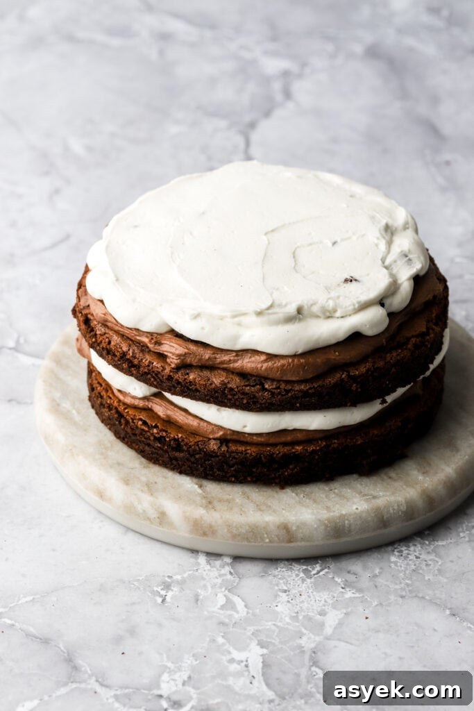 Fudgy Chocolate Brownie Cake Recipe 16 brownie chunk layer topped with vanilla cream cheese frosting