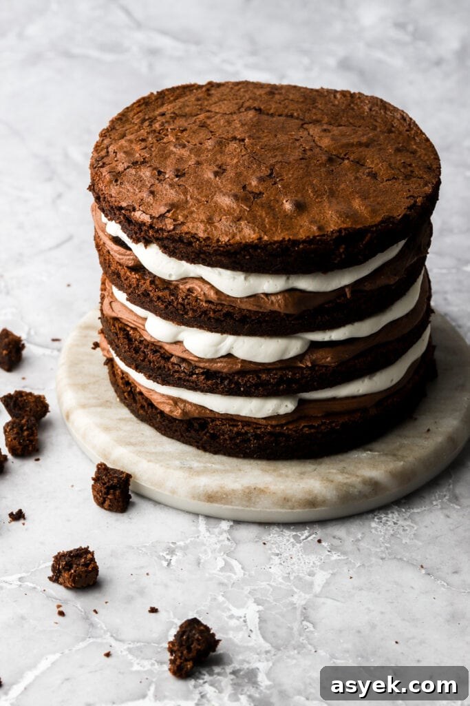Fudgy Chocolate Brownie Cake Recipe 17 cake fully assembled