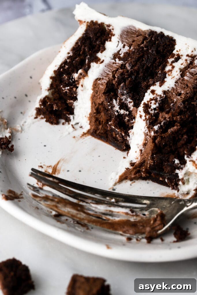Fudgy Chocolate Brownie Cake Recipe 19 close up of slice of brownie cake with all its layers
