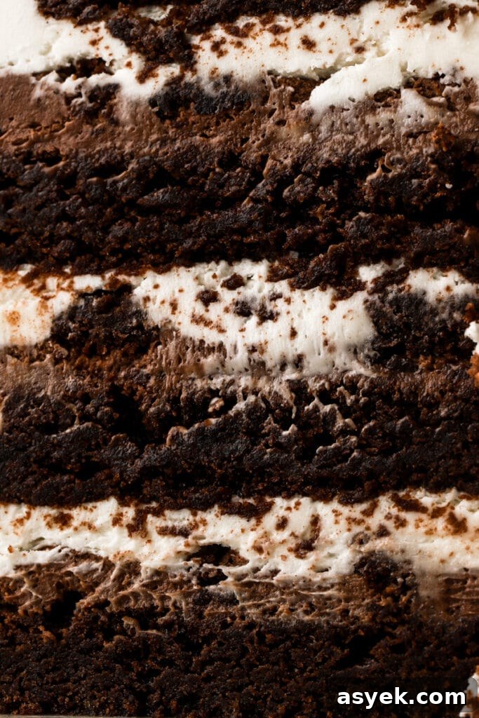 Fudgy Chocolate Brownie Cake Recipe 22 close up of all the layers - brownie, chocolate frosting, brownie chunks, cream cheese frosting, repeat
