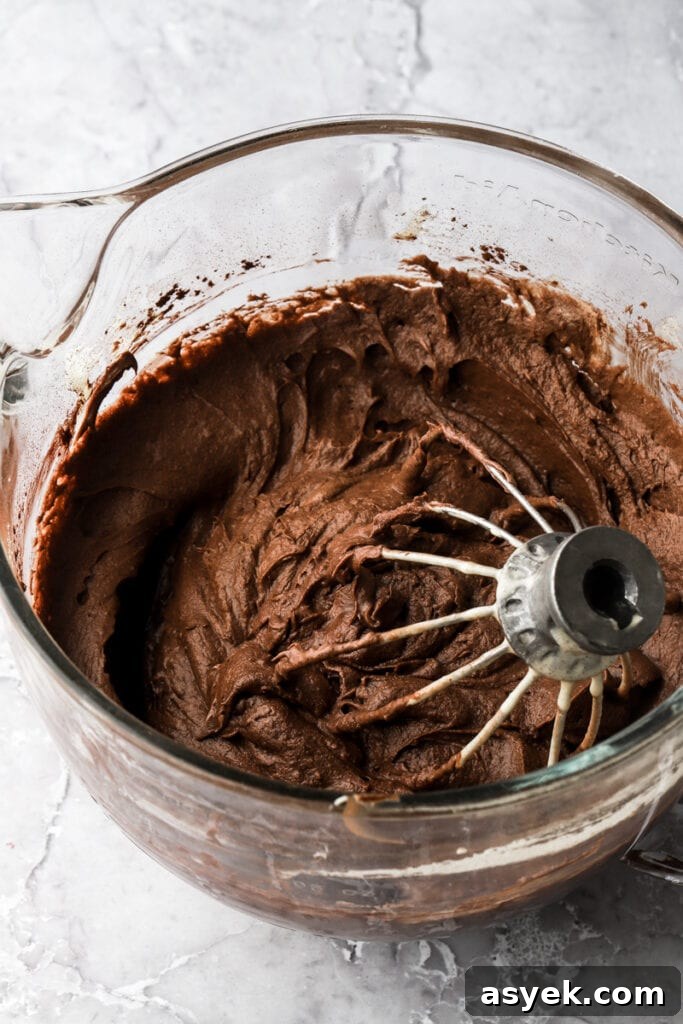 Fudgy Chocolate Brownie Cake Recipe 7 cocoa powder added and whipped well
