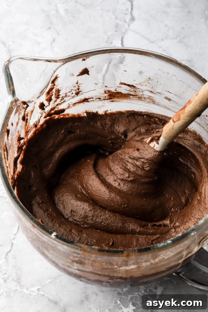 Fudgy Chocolate Brownie Cake Recipe 8 flour mixed in just until combined.