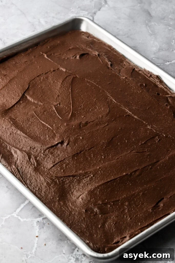 Fudgy Chocolate Brownie Cake Recipe 9 batter spread into a sheet pan
