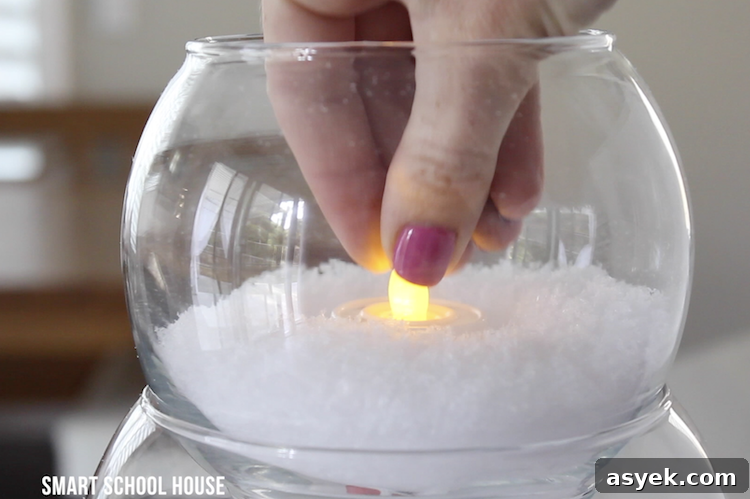 Fish Bowl Snowman
