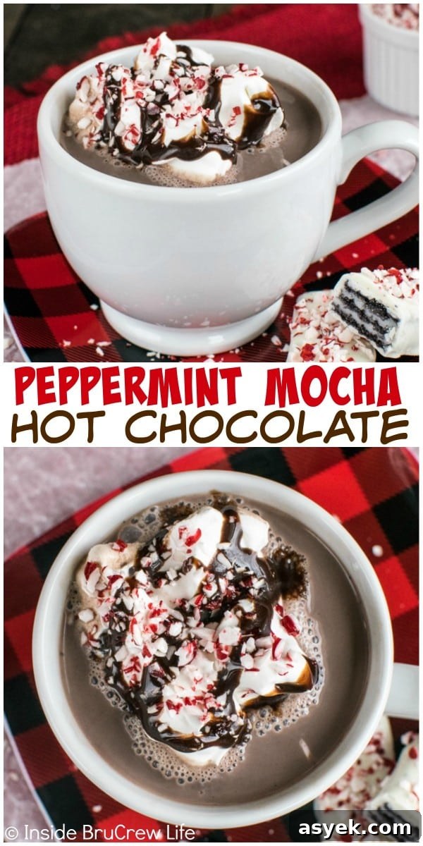 Chocolate, peppermint bits, and coffee make this Peppermint Mocha Hot Chocolate a delicious drink for cold winter days.
