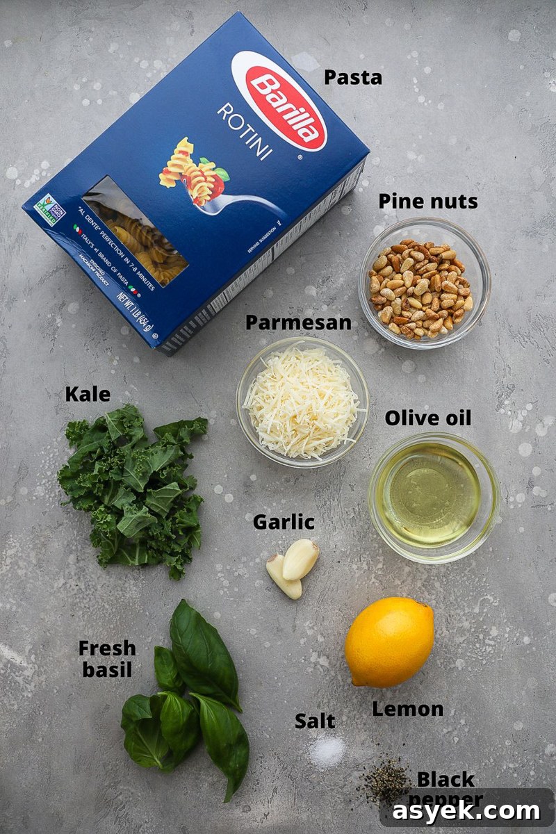 Kale Pesto Pasta with Homemade Pesto Sauce 3 Ingredients used to make kale pesto pasta