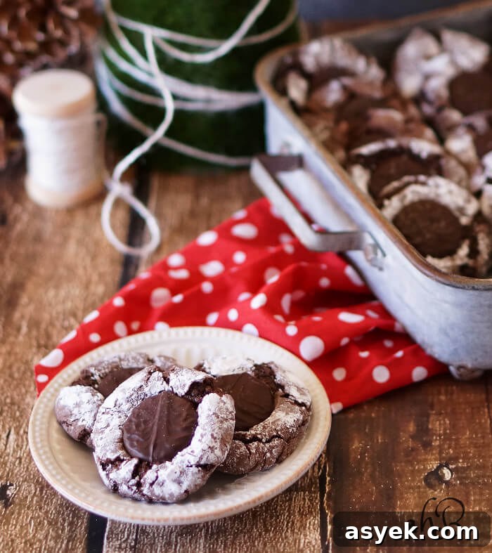 Mint Fudge Crinkle Cookies