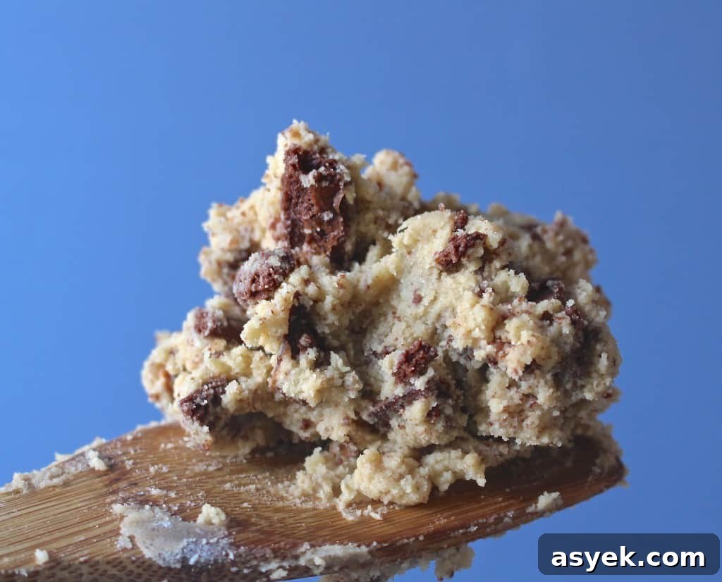 Brownie Brittle Chocolate Chip Cookies