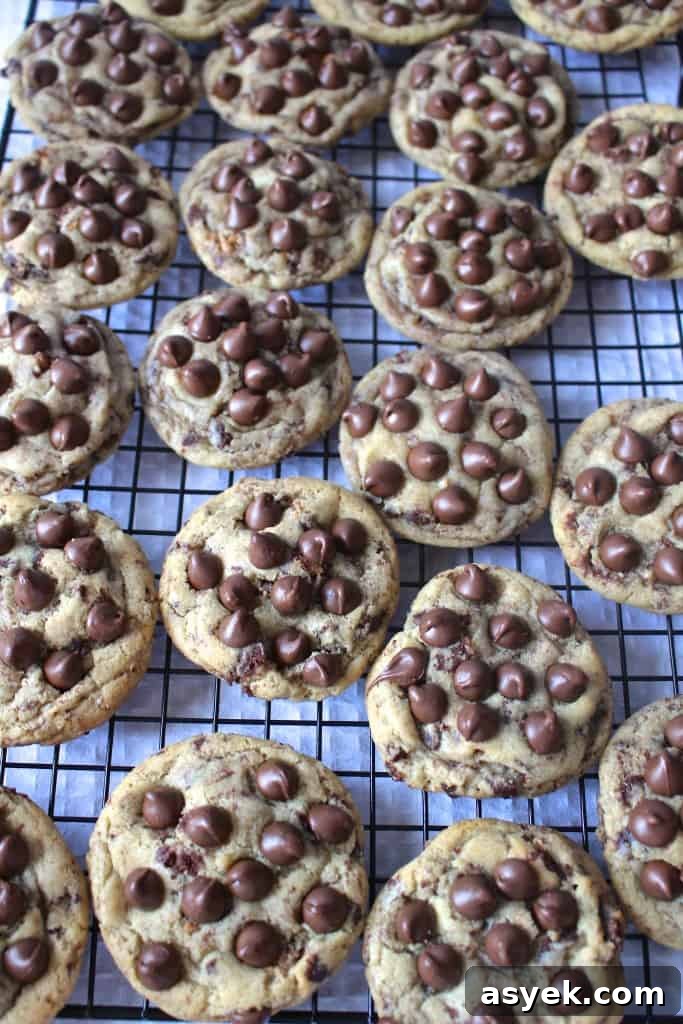 Brownie Brittle Chocolate Chip Cookies